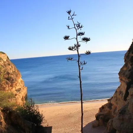 With 2 Bedrooms In With Shared Pool Furnished Garden And Wifi 800 M From The Beach *
